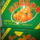 榕江冰糖橙