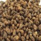 贞丰豆豉