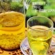 宜阳苦荞茶