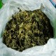 镇巴树花菜