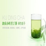 余庆苦丁茶