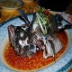 香港石斑鱼