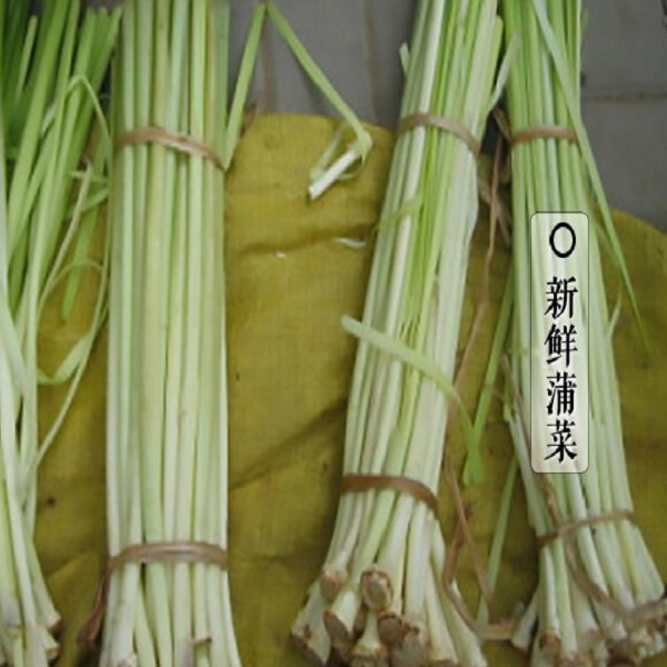 夏邑蒲菜