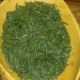 南江大叶茶