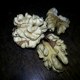 石棉指核桃