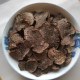 会东块菌