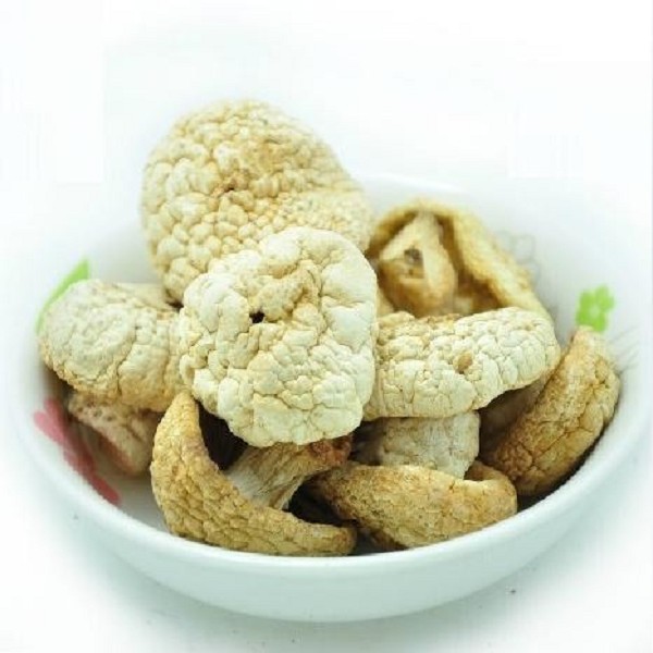 石渠白菌详细介绍:特点 历史 - 石渠特产 - 特色谷
