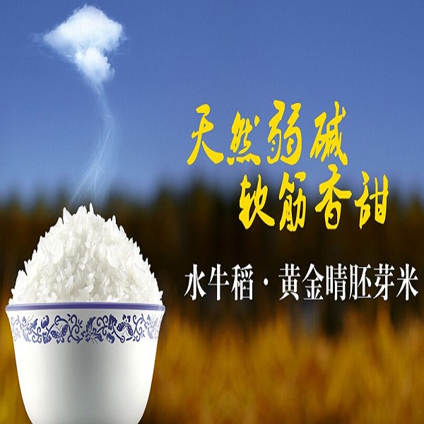 水牛稻