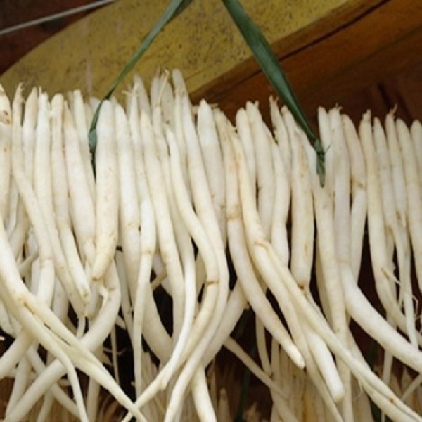 苍溪川明参