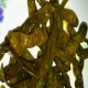 罗江青椒