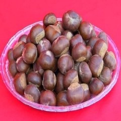 隆安板栗