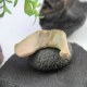 阿拉善戈壁风凌石