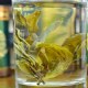 五指山苦丁茶
