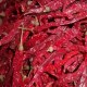 新津二荆条辣椒