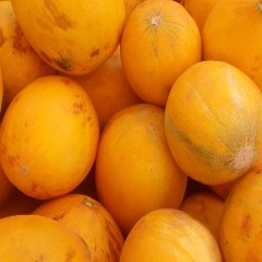 磴口华莱士瓜