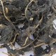 舞钢山野菜