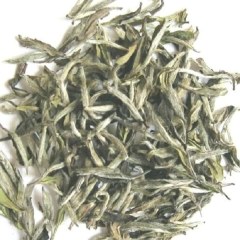 南昆山毛茶