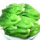 水东芥菜