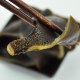 荣成海带