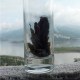 绥江苦丁茶