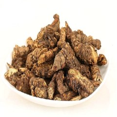 青海羌活