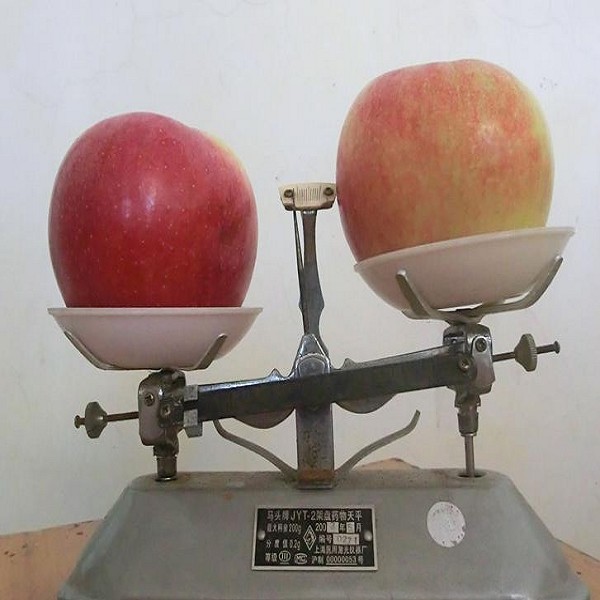 蓬莱沼果