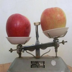 蓬莱沼果
