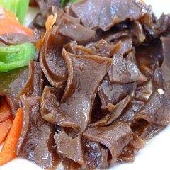 武夷山苦槠干