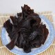 武夷山苦槠干