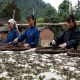姑辽茶
