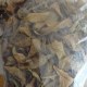 天峨金花茶
