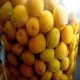 田东酸梅酒