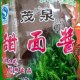 茂泉甜面酱