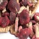 容县野生红菇