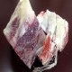中阳柏籽羊肉