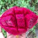 平果火龙果