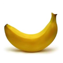 浦北香蕉