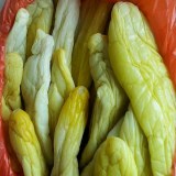 灵山黄瓜皮
