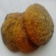 定襄黄烧饼