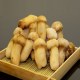 旺苍野生菌