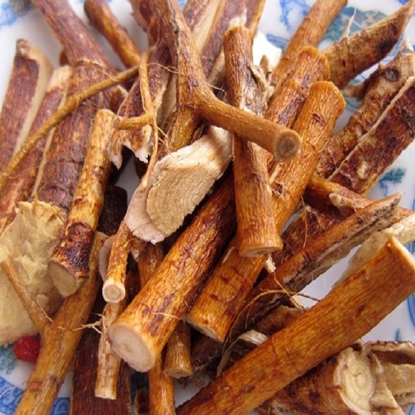 五指毛桃