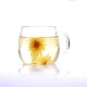 安国菊花茶