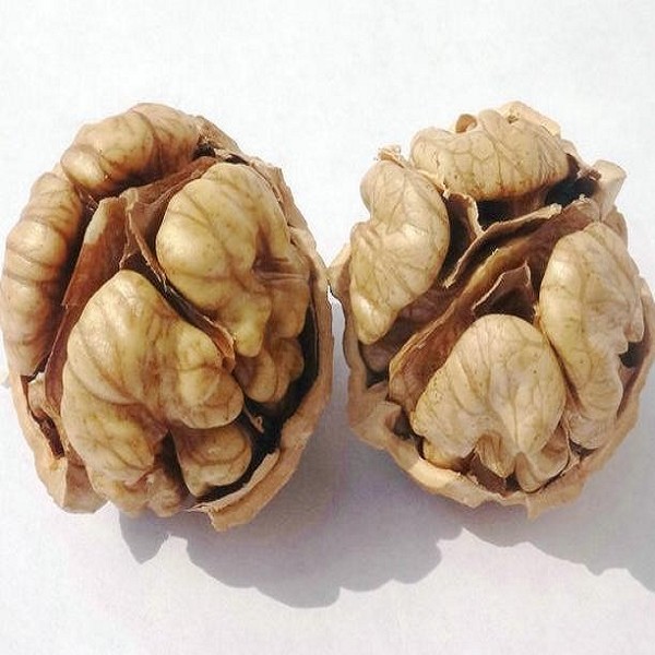 赞皇核桃