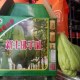 新丰佛手瓜