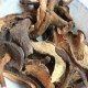 南华牛肝菌