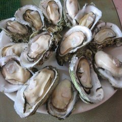 长岛牡蛎