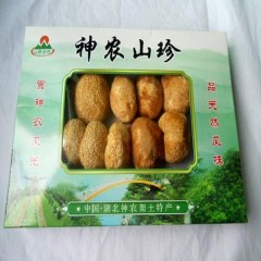 神农架猴头菇