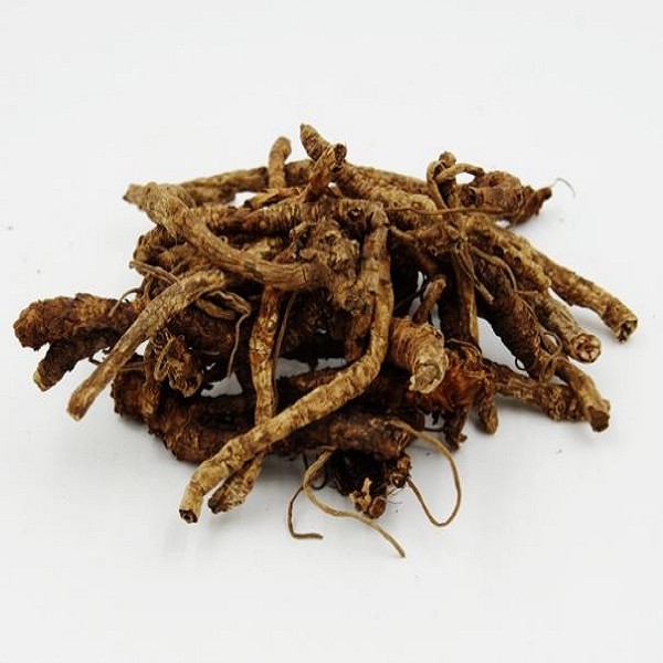 西藏胡黄连详细介绍:特点 - 拉萨特产 - 特色谷