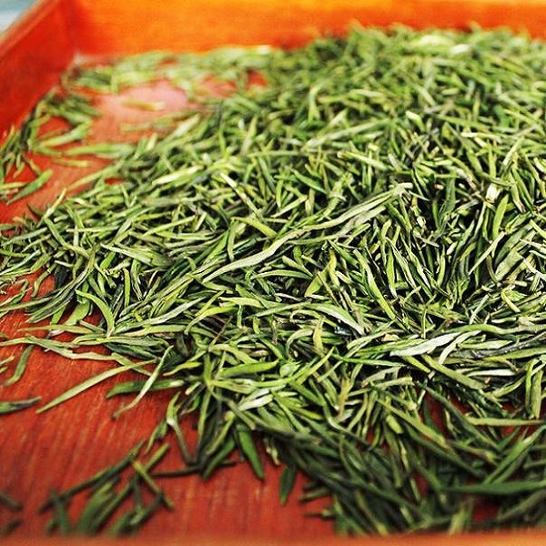 广安松针详细介绍:特点 历史 - 广安特产 - 特色谷