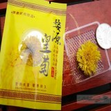 婺源皇菊